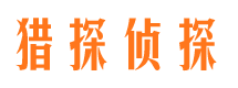 龙凤市场调查